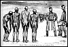 Questa immagine ha l'attributo alt vuoto; il nome del file Ã¨ Admission-in-Mauthausen.gif