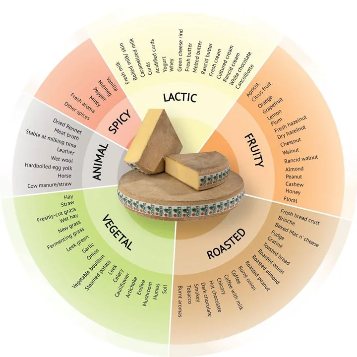 Sensory wheel