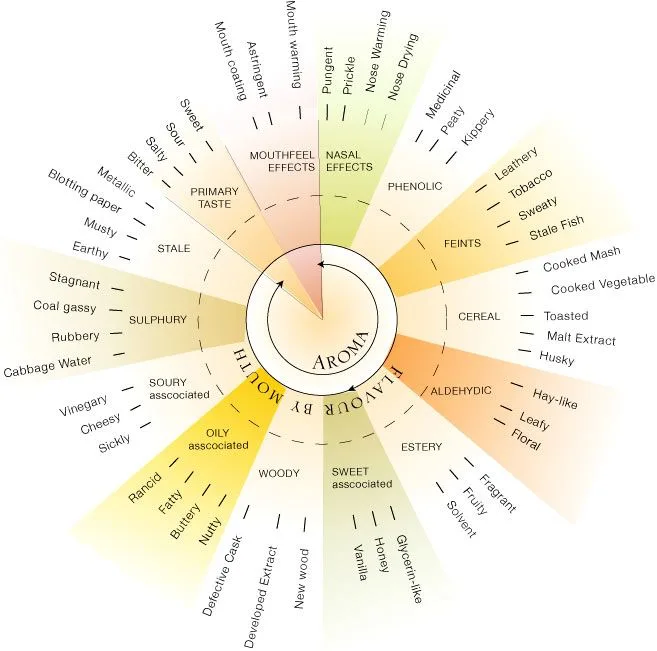 Sensory wheel