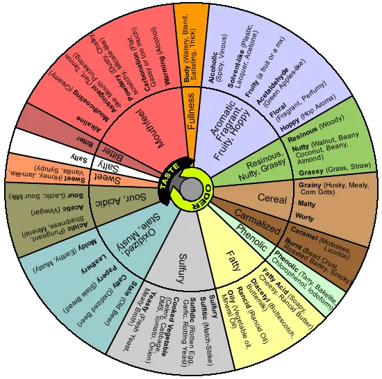 Beer flavour wheel