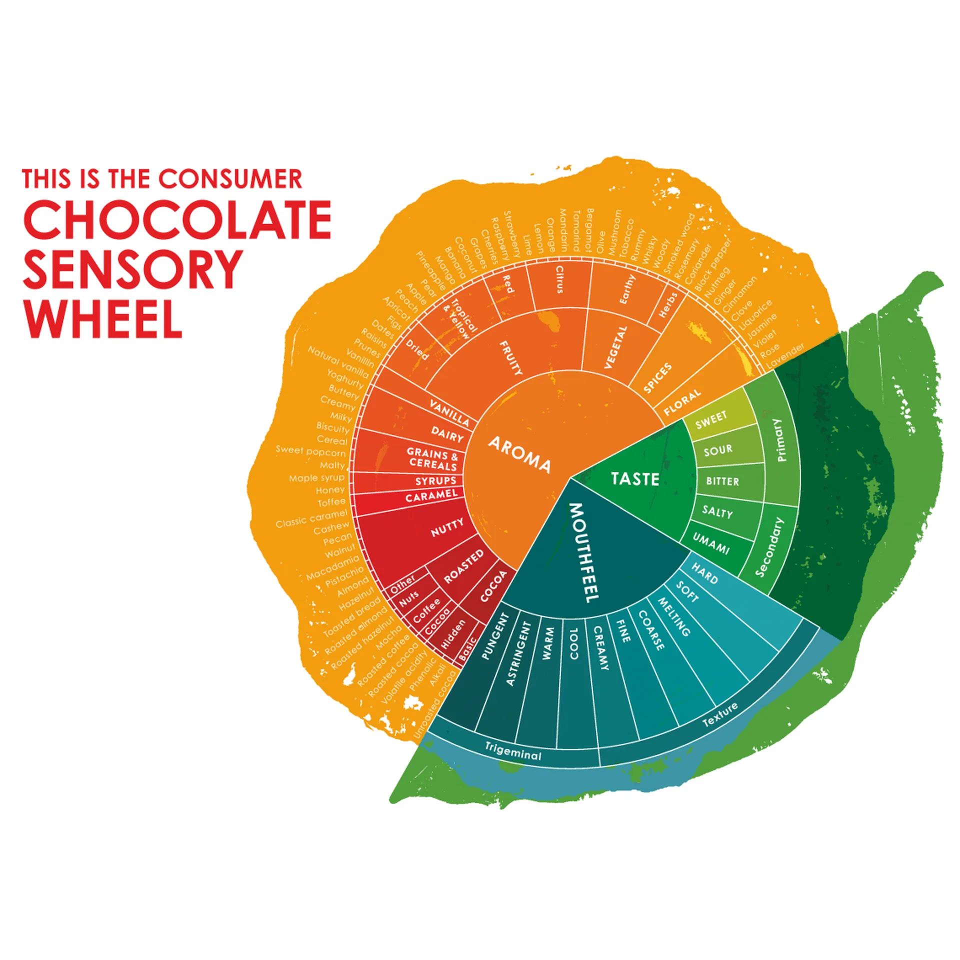 Chocolate sensory wheel