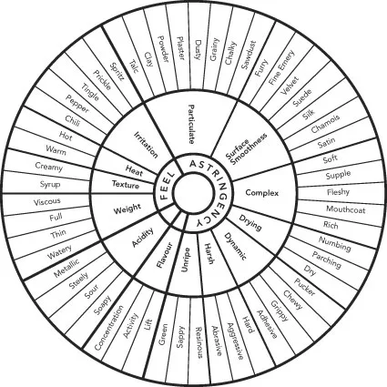 Wine mouthfeel wheel