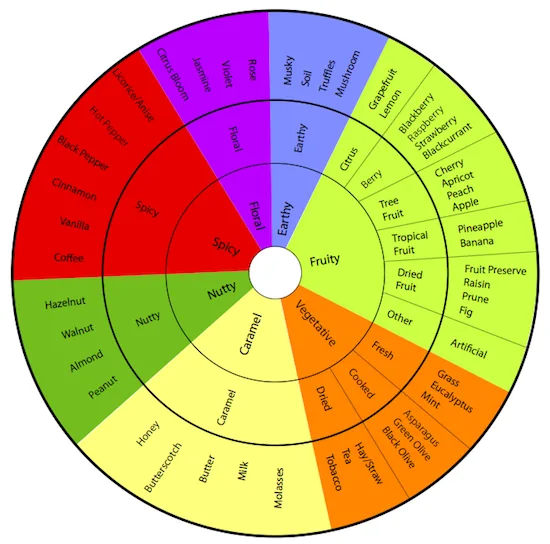 Cioccolato — ruota sensoriale