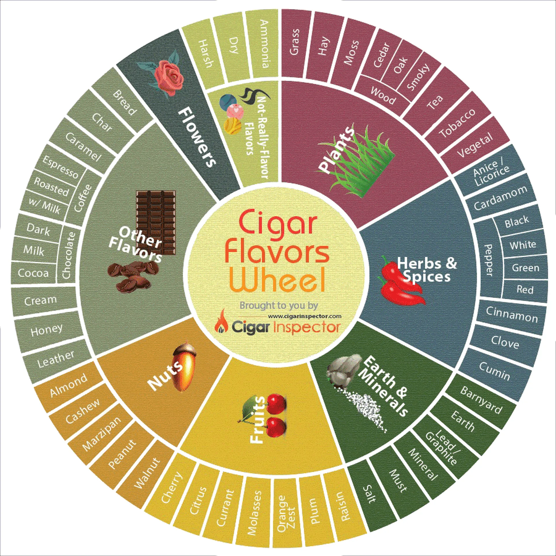 Cigar sensory wheel