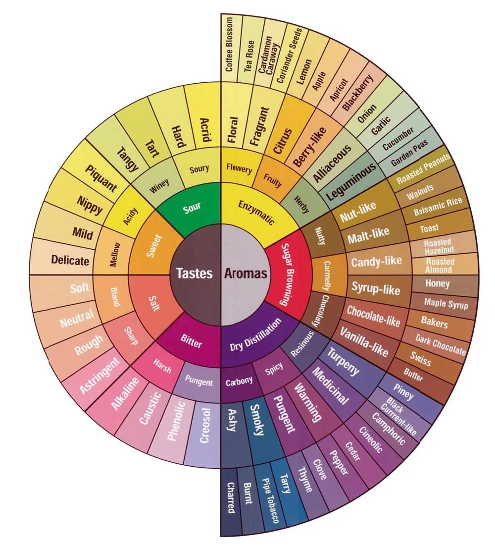 Coffee sensory wheel