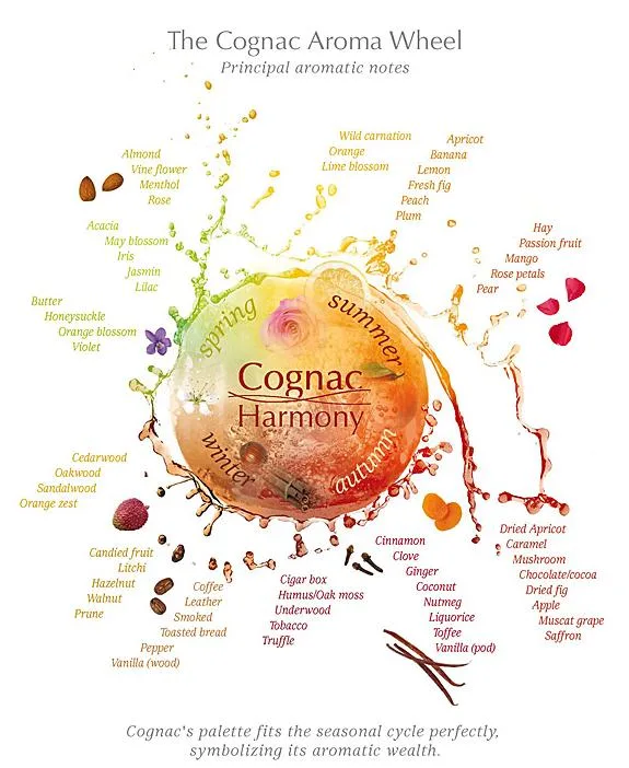 Cognac sensory wheel