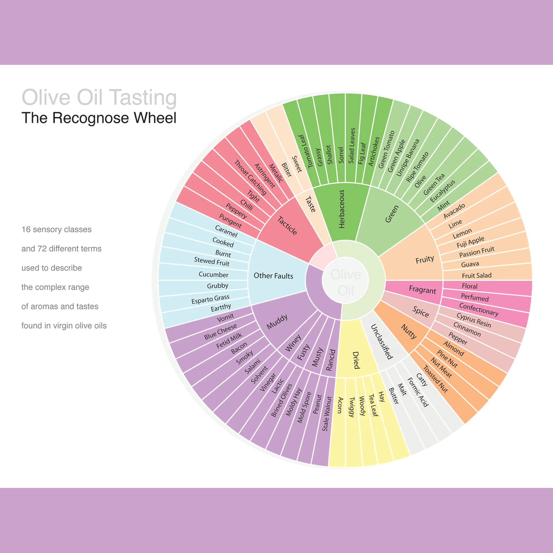 Olive oil sensory wheel