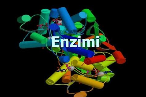 enzimi