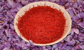 Risultato immagini per zafferano di san gimignano