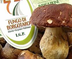 Risultato immagini per fungo di borgotaro igp