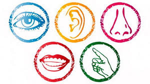 analisi_sensoriale_sensi