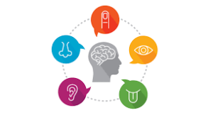 i_sensi_analisi_sensoriale