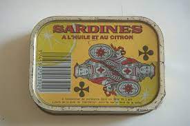 sardine