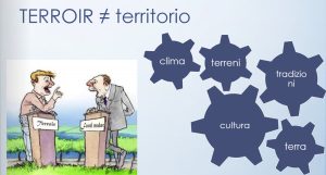 terroir