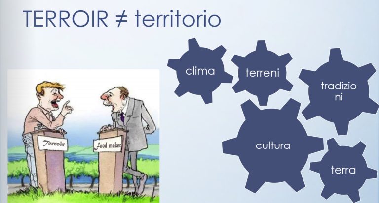 terroir