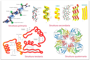 Schermata-del-2023-02-11-19-04-46