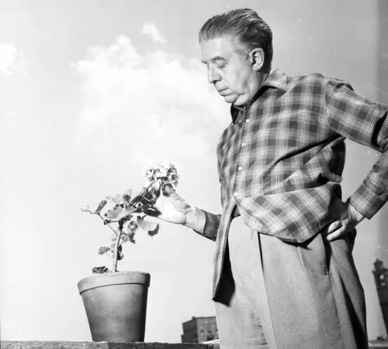 eugenio-montale-1956