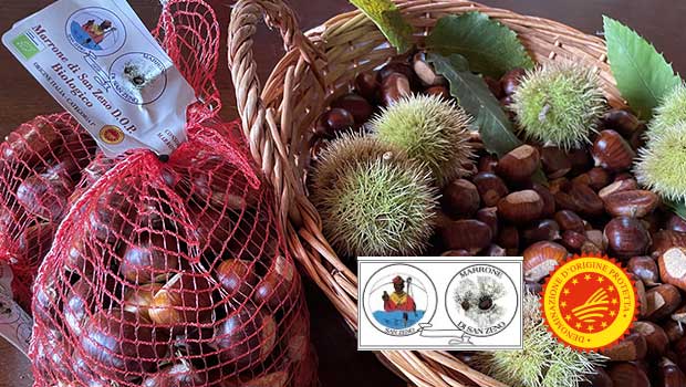 Marrone di San Zeno DOP