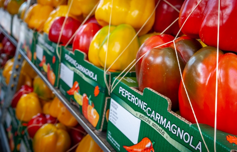 Peperone di Carmagnola IGP