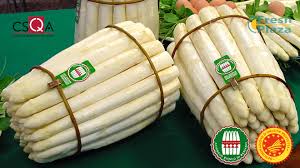 Asparago Bianco di Bassano DOP