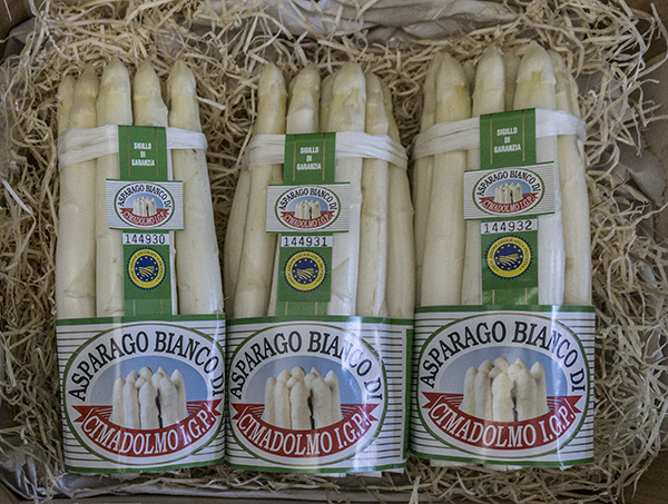 Asparago di Cimadolmo IGP