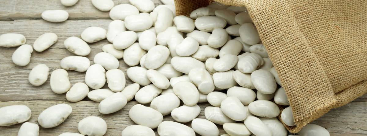 Fagiolo di Badalucco