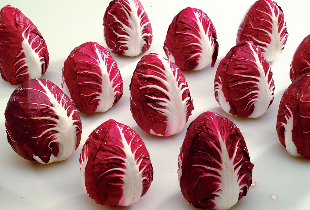 Radicchio di Verona IGP
