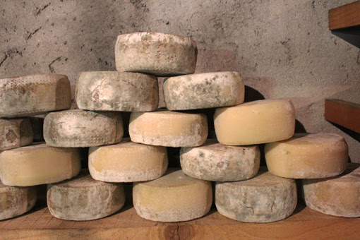 Formaggio di Malga (specialità locale)