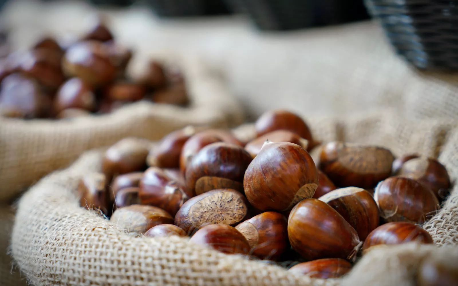 Marrone del Monfenera IGP