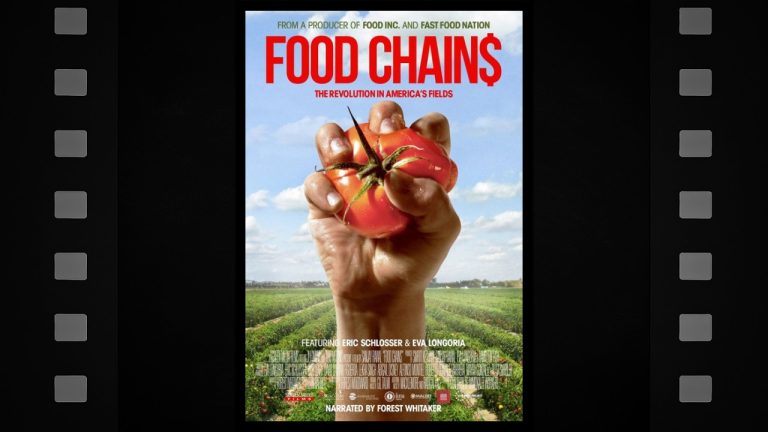 Food Chains - Featured