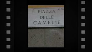 Pane/Piazza delle Camelie - Featured