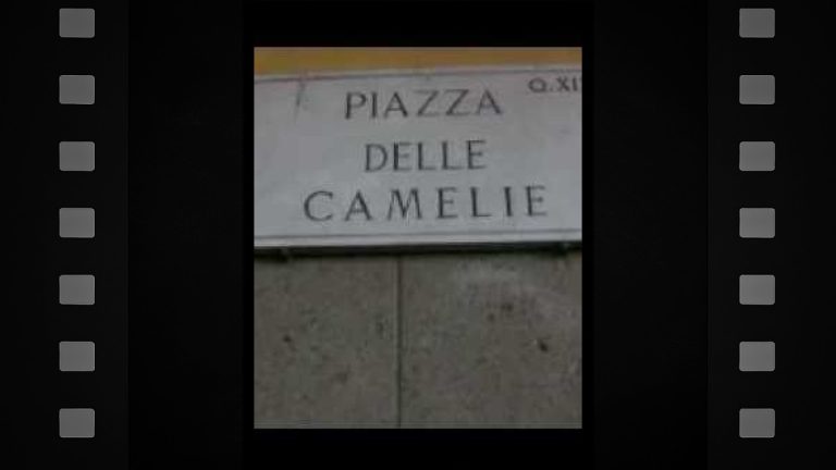 Pane/Piazza delle Camelie - Featured