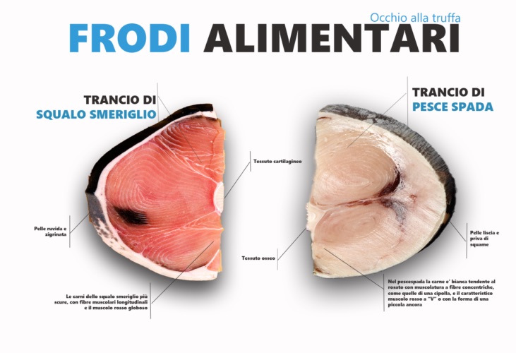 Misleading sui prodotti ittici