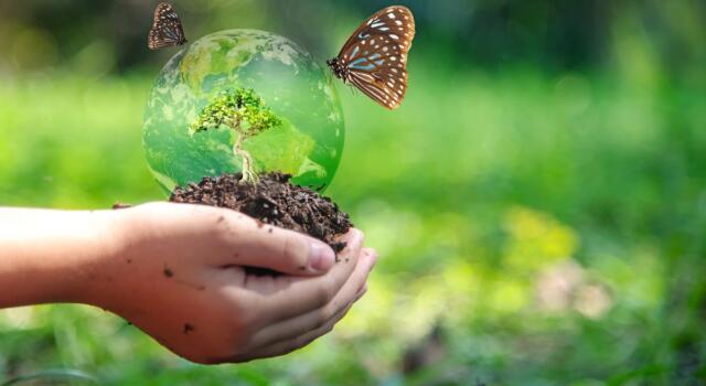 Biodiversità in 100 parole
